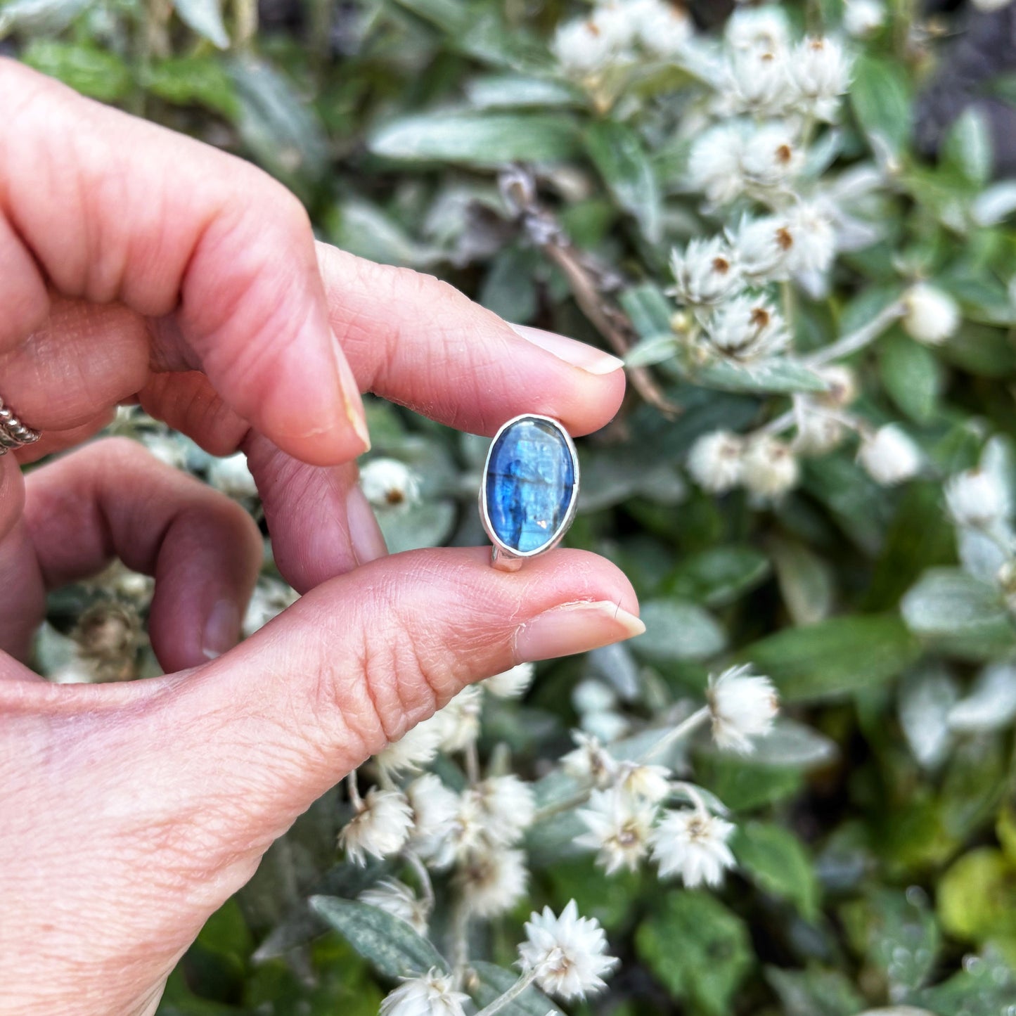 Blue Kyanite Ring