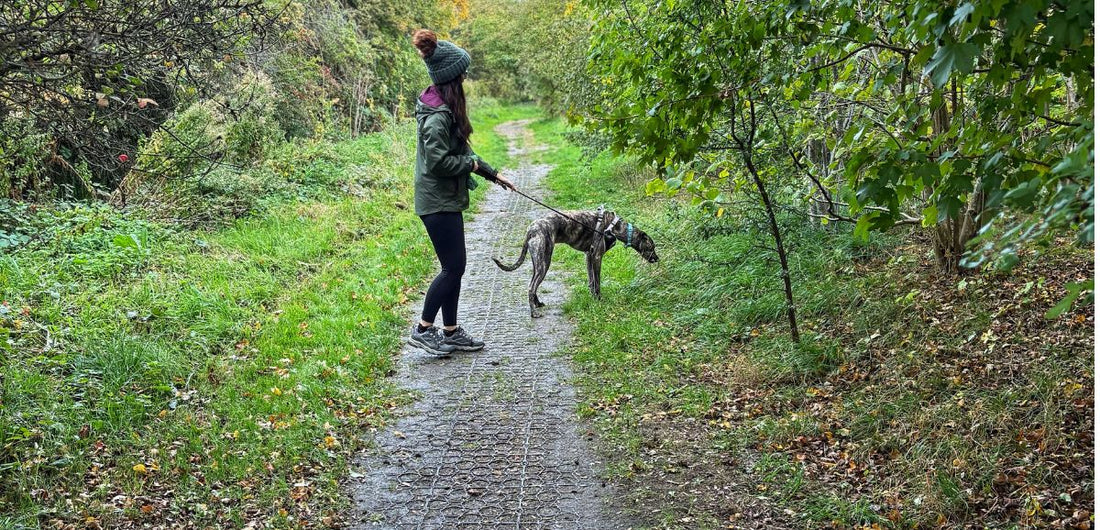 October Dog Walking Challenge for Dementia UK: Week 2