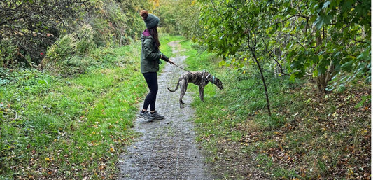 October Dog Walking Challenge for Dementia UK: Week 2