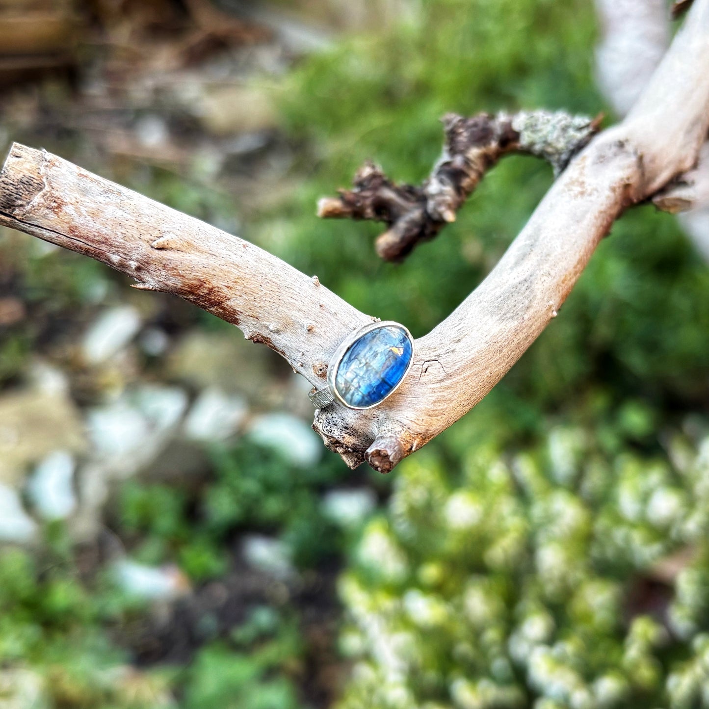 Blue Kyanite Ring